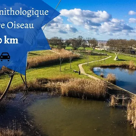 Le Coconning: Tranquil City Center Retreat Apartment Blaye